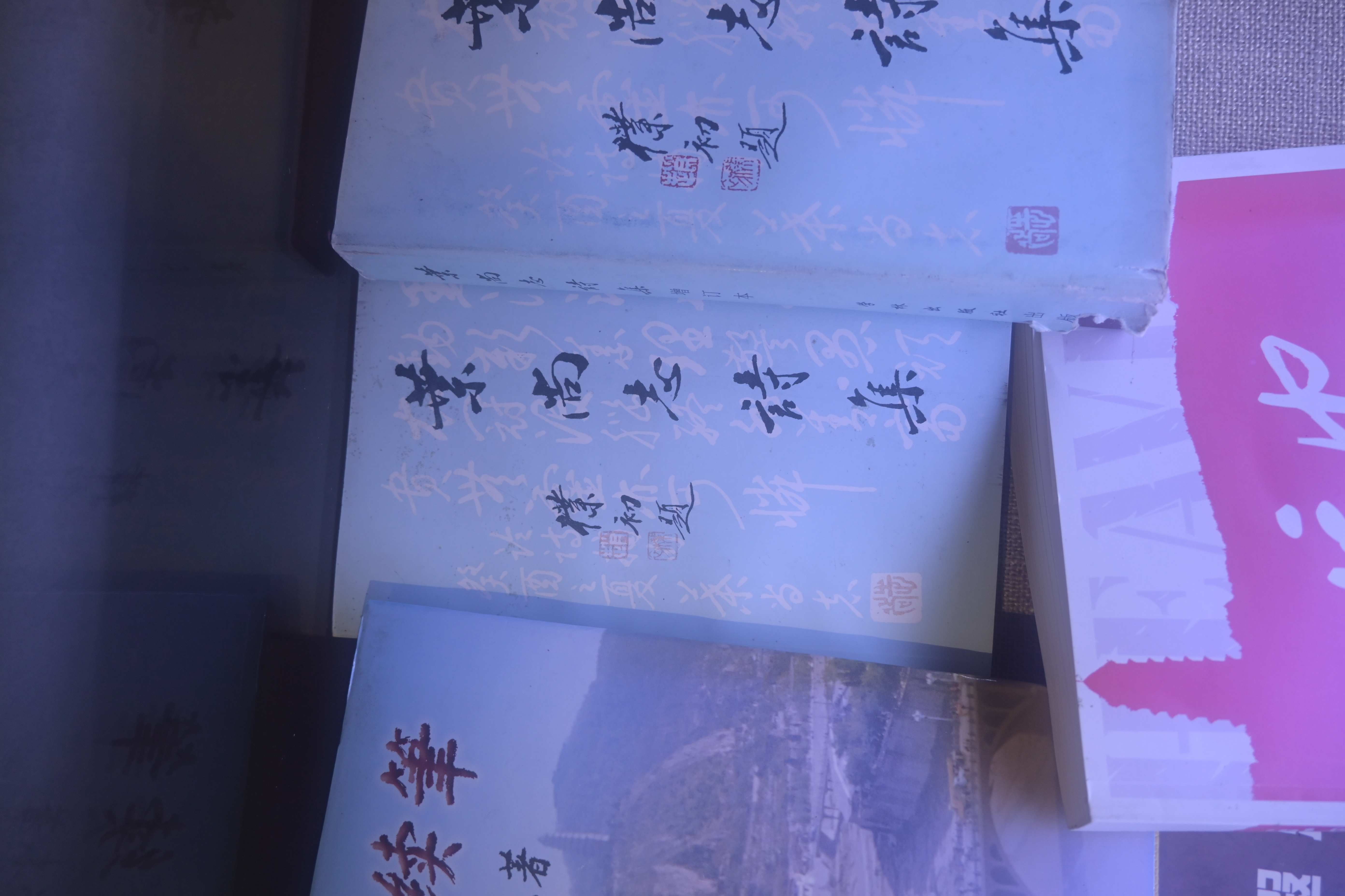 141.叶尚志诗集.JPG