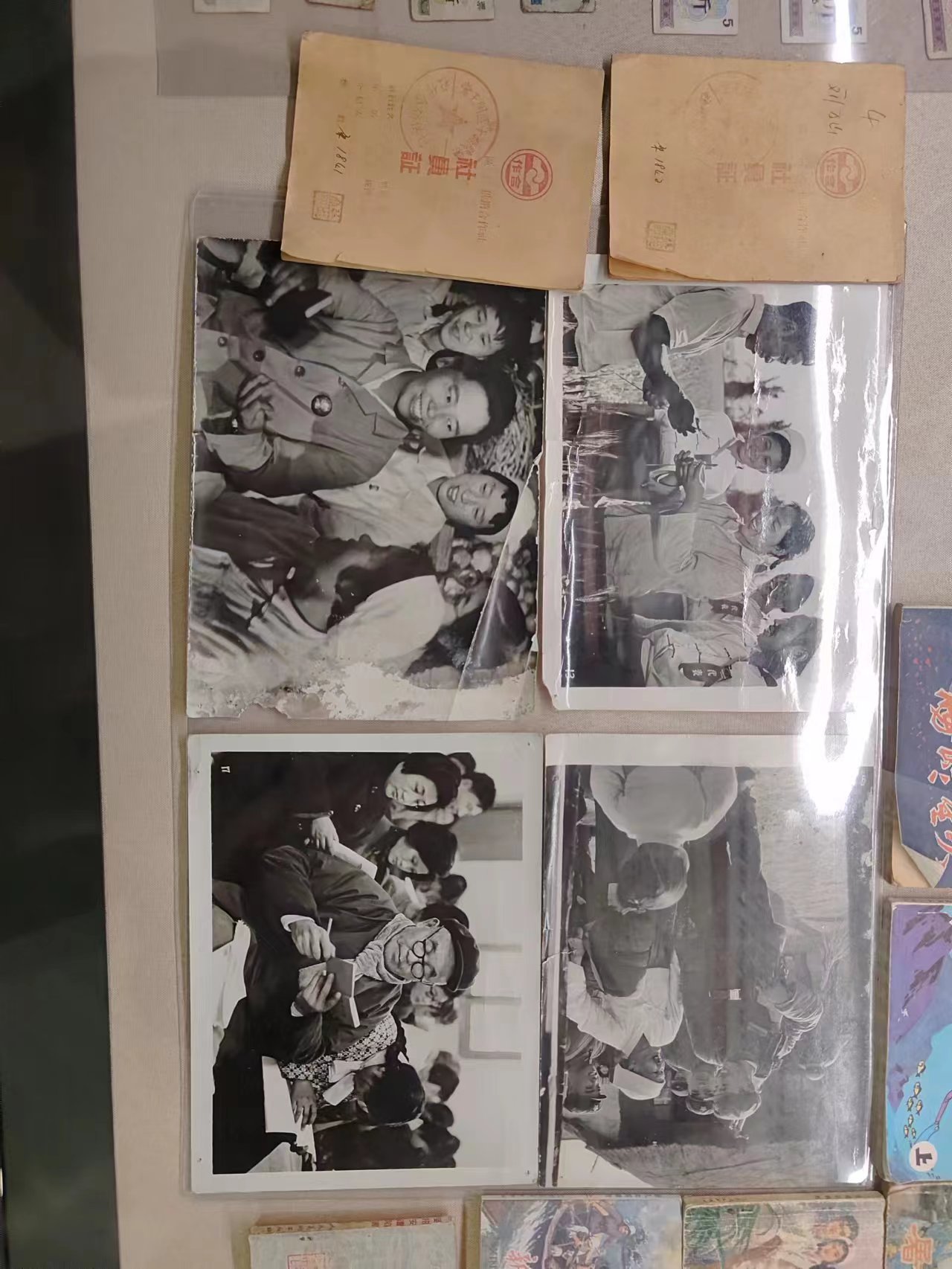 135  照片.jpg