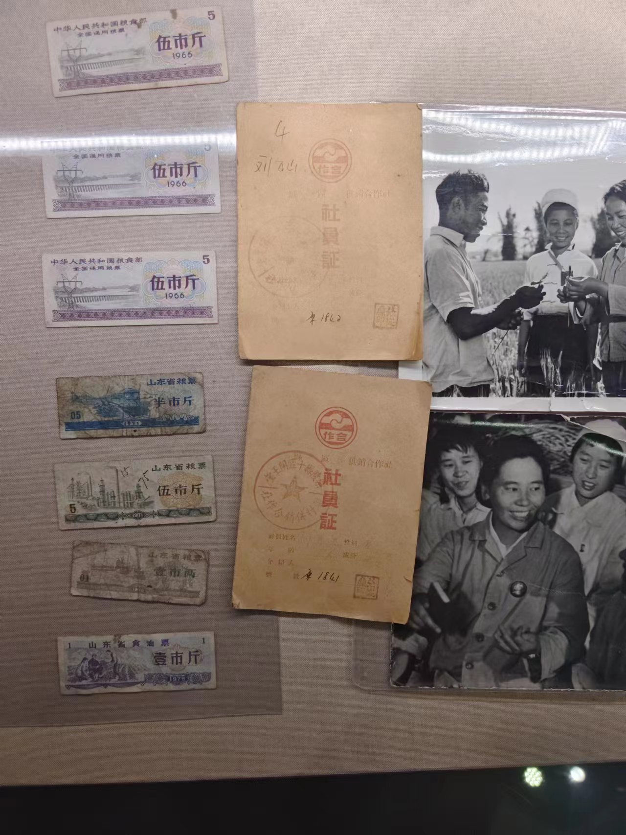 136 社员证.jpg