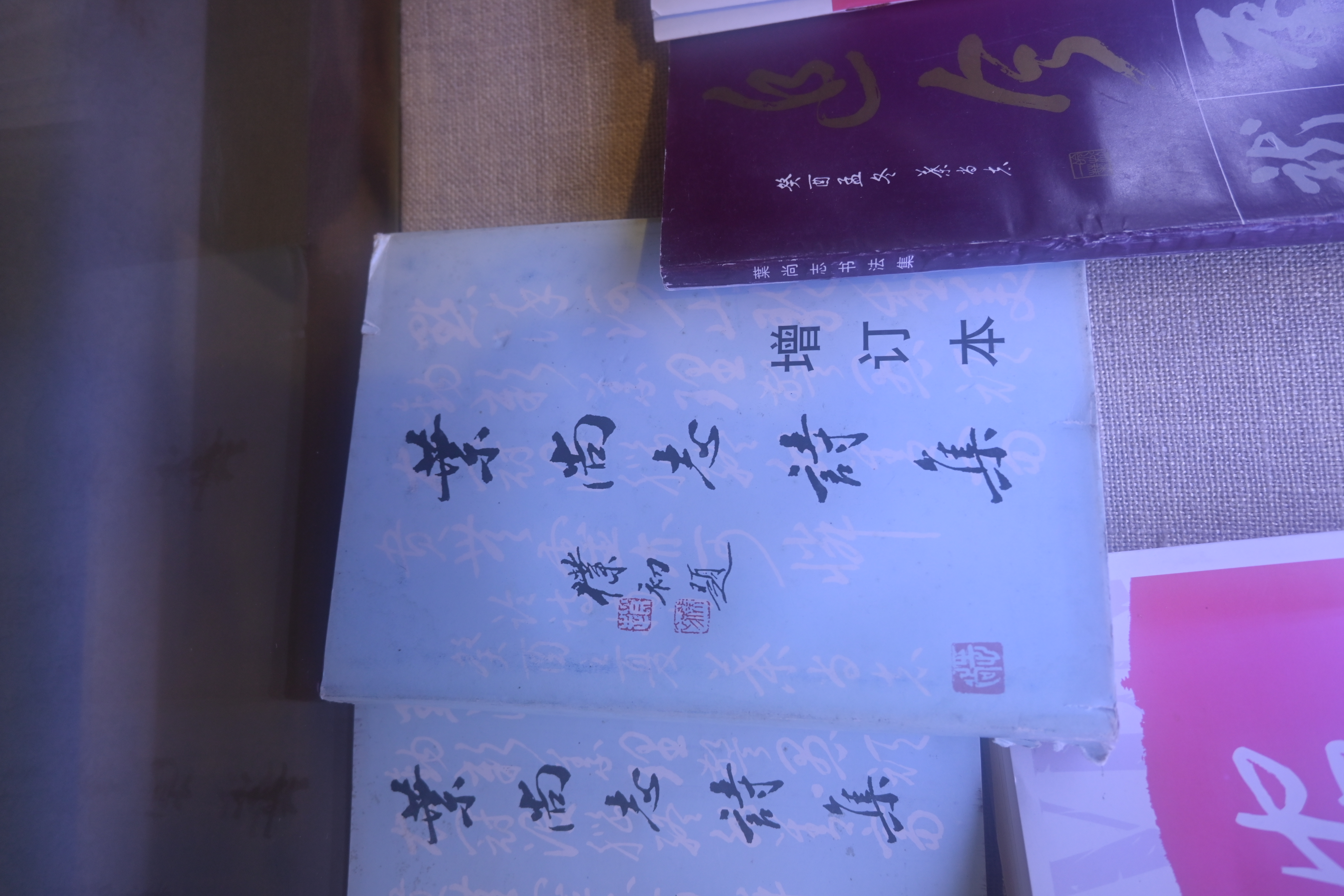 141.叶尚志诗集增订本.JPG
