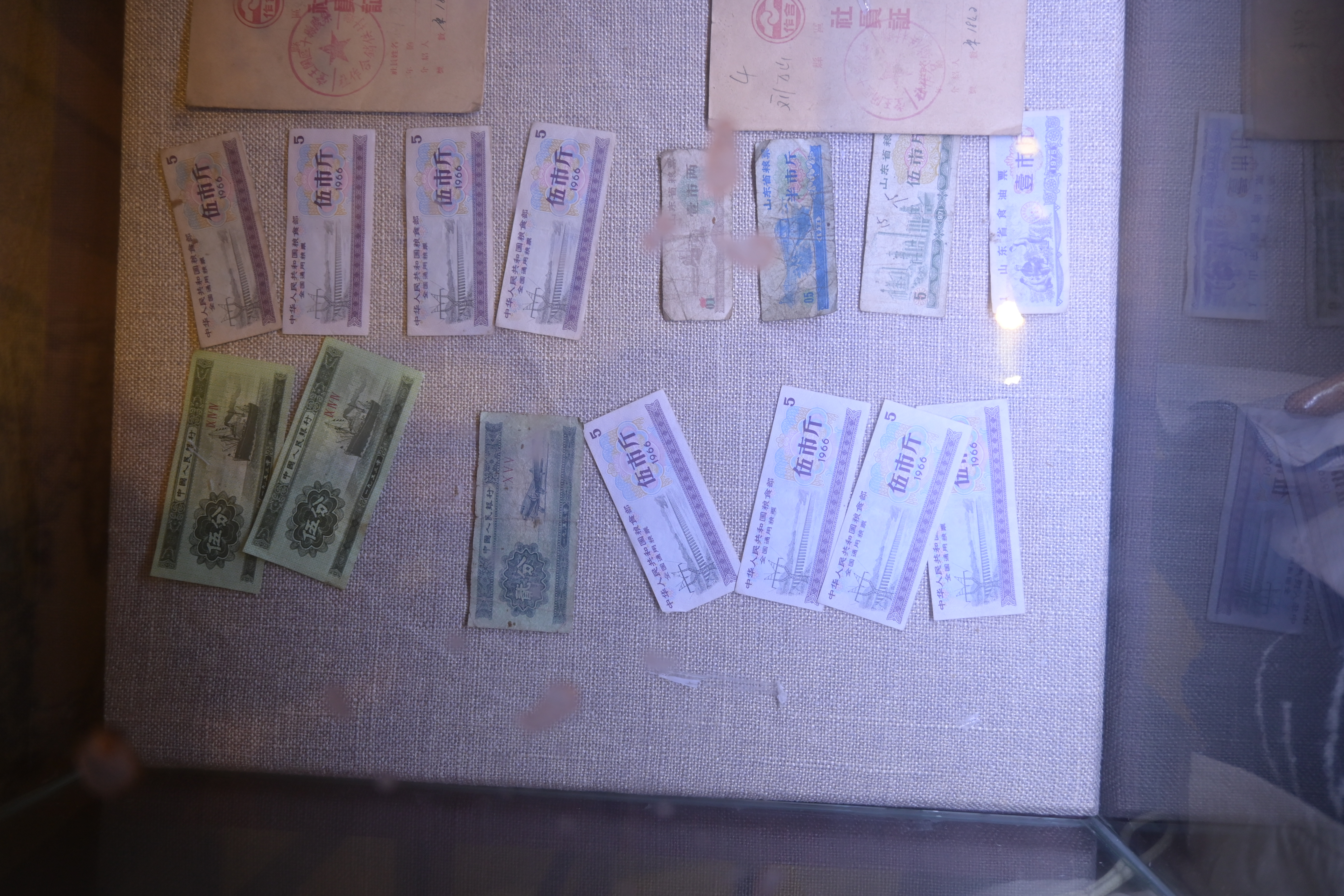 137.粮食部五市斤粮票.JPG