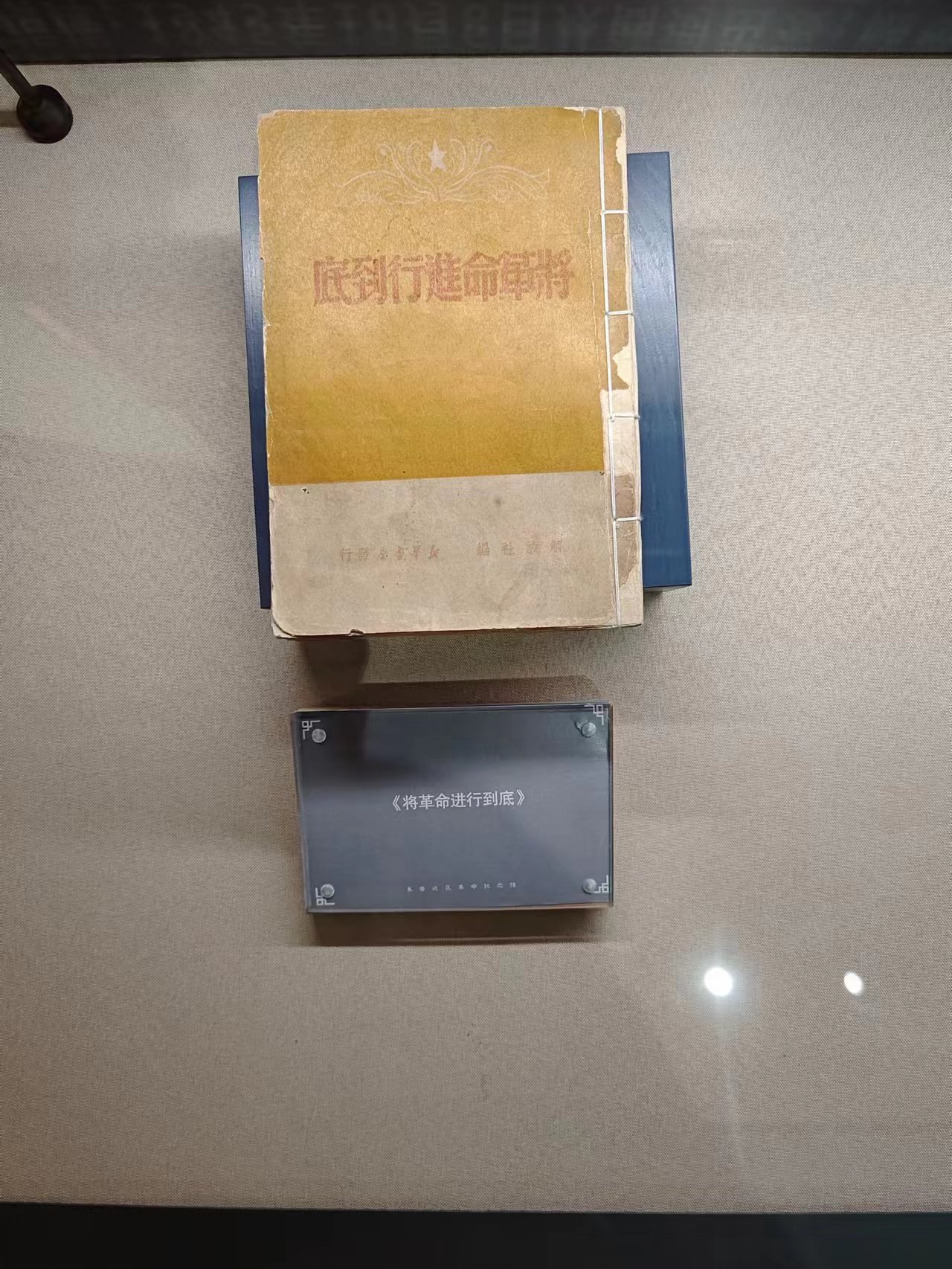 126  《将革命进行到底》.jpg