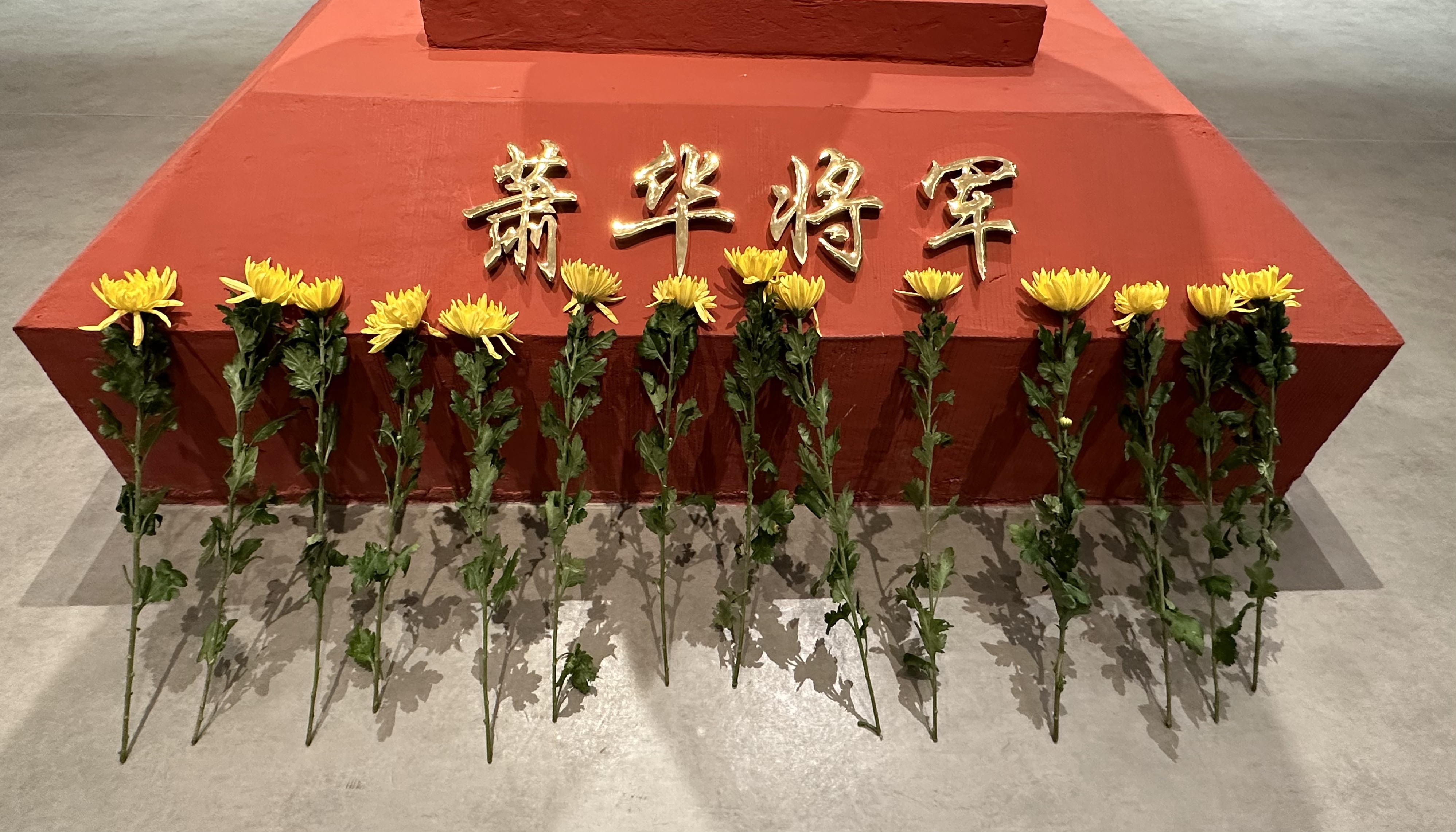 萧华.jpg 萧华.jpg